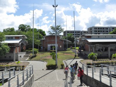 Panzenu 1
